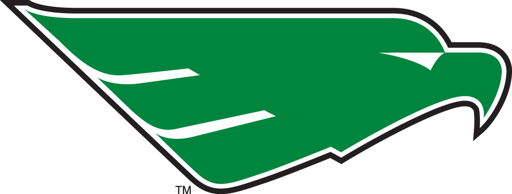 North Texas Mean Green 2005-Pres Secondary Logo diy iron on heat transfer